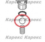  KarcherШарик