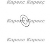  KarcherШайба латунная
